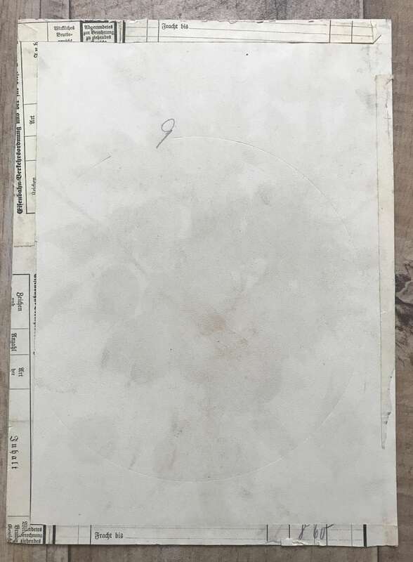 Alter Druck Beilage Grüne Flaschenbeere DPV 1896 Green Willow Johnson