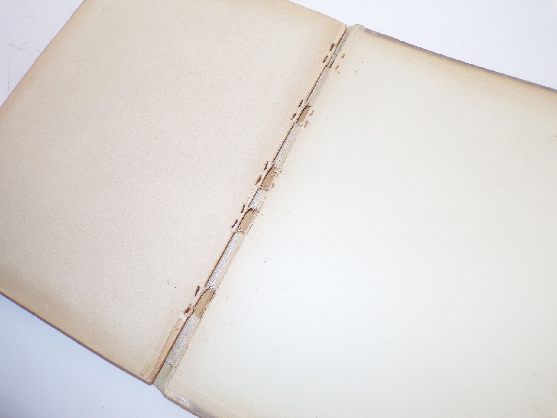 Aus des Lebens Mai Steinkamp und Voigt um 1900 Kinderbuch