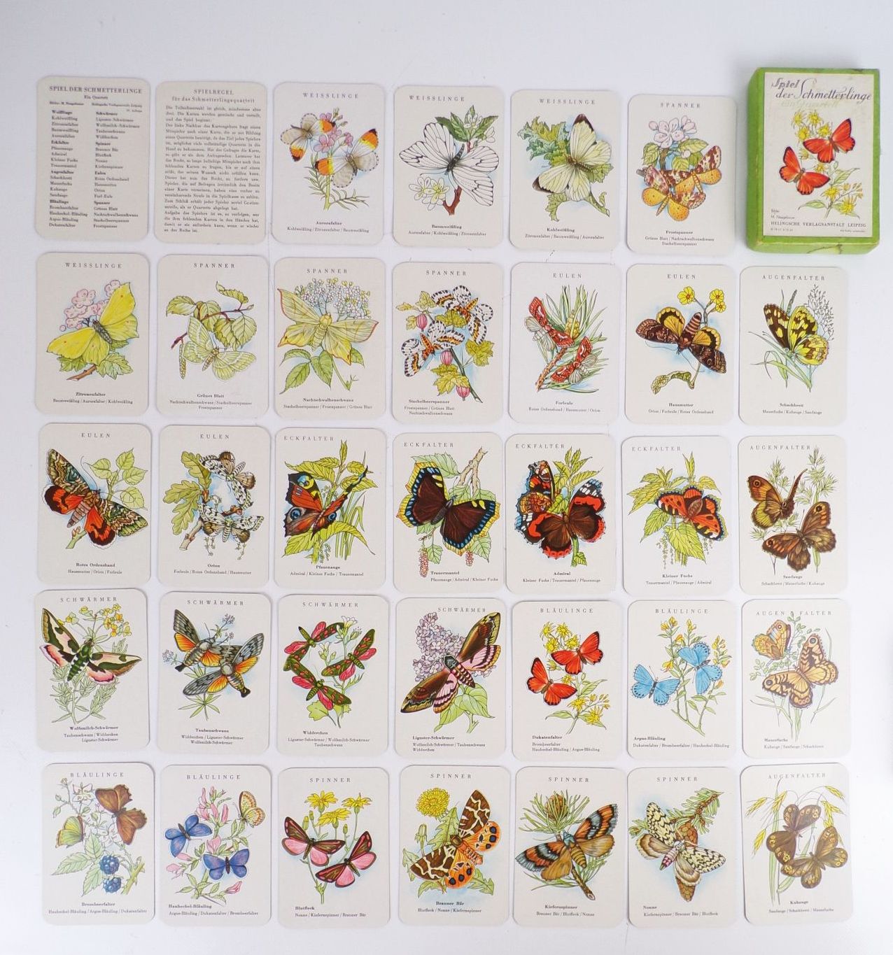 Spiel der Schmetterlinge Ein Quartett Neugebauer Helingsche Verlagsanstalt
