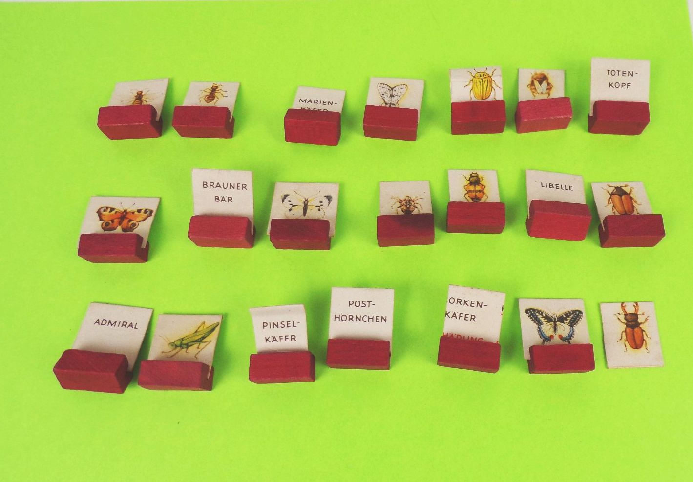 Wer sucht mit uns Insekten Ein lehrreiches Spiel Marianne Drechsel Flechsig 1950 er 