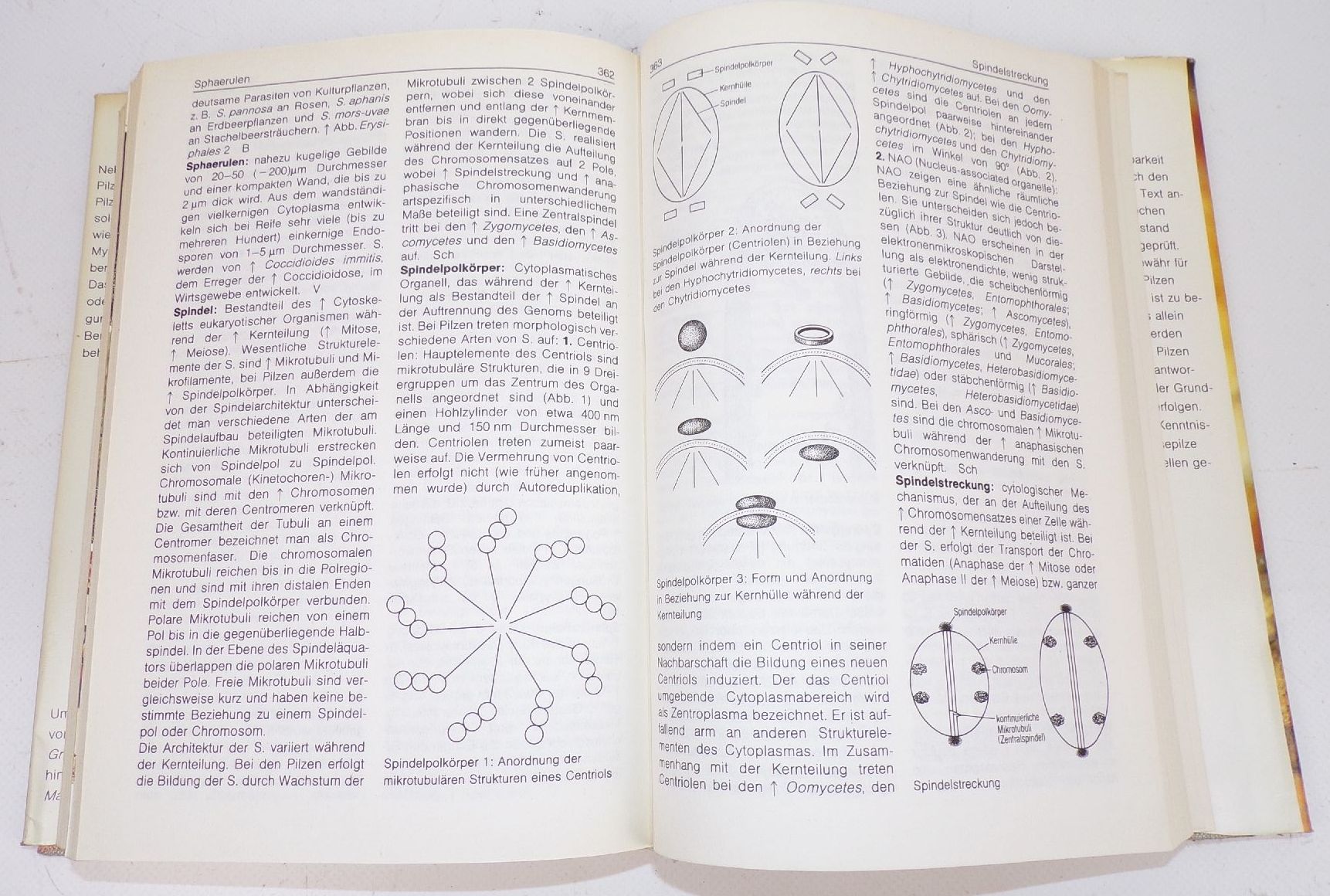 Bi Lexikon Mykologie Pilzkunde und Pilzvergiftungen Pilzberater Bücher 