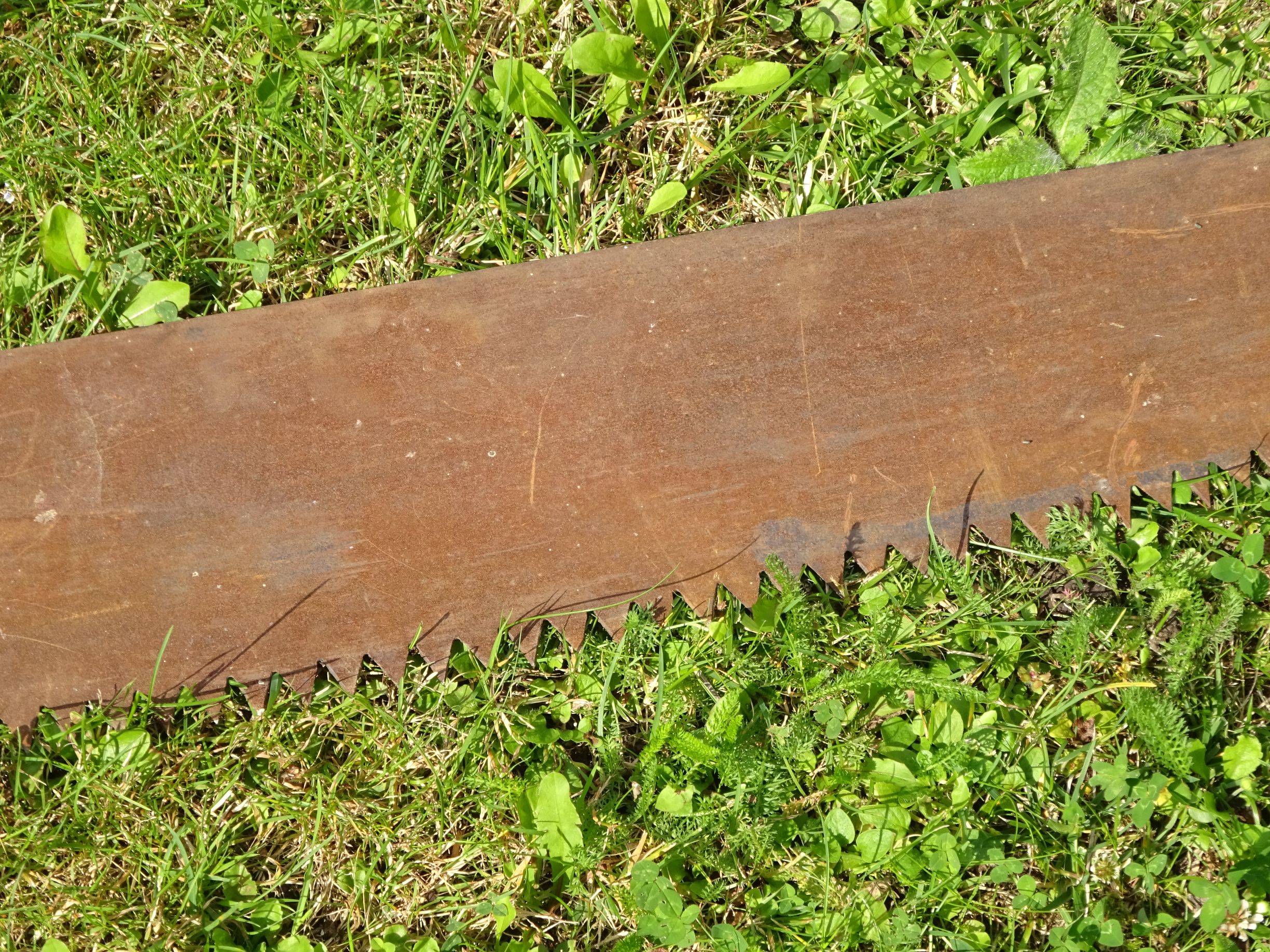 Alte Hochzeitssäge Säge Zweimannsäge 140 cm Hochzeit Schrostsäge Alte Hochzeitssäge Säge Zweimannsäge 140 cm Hochzeit Schrostsäge