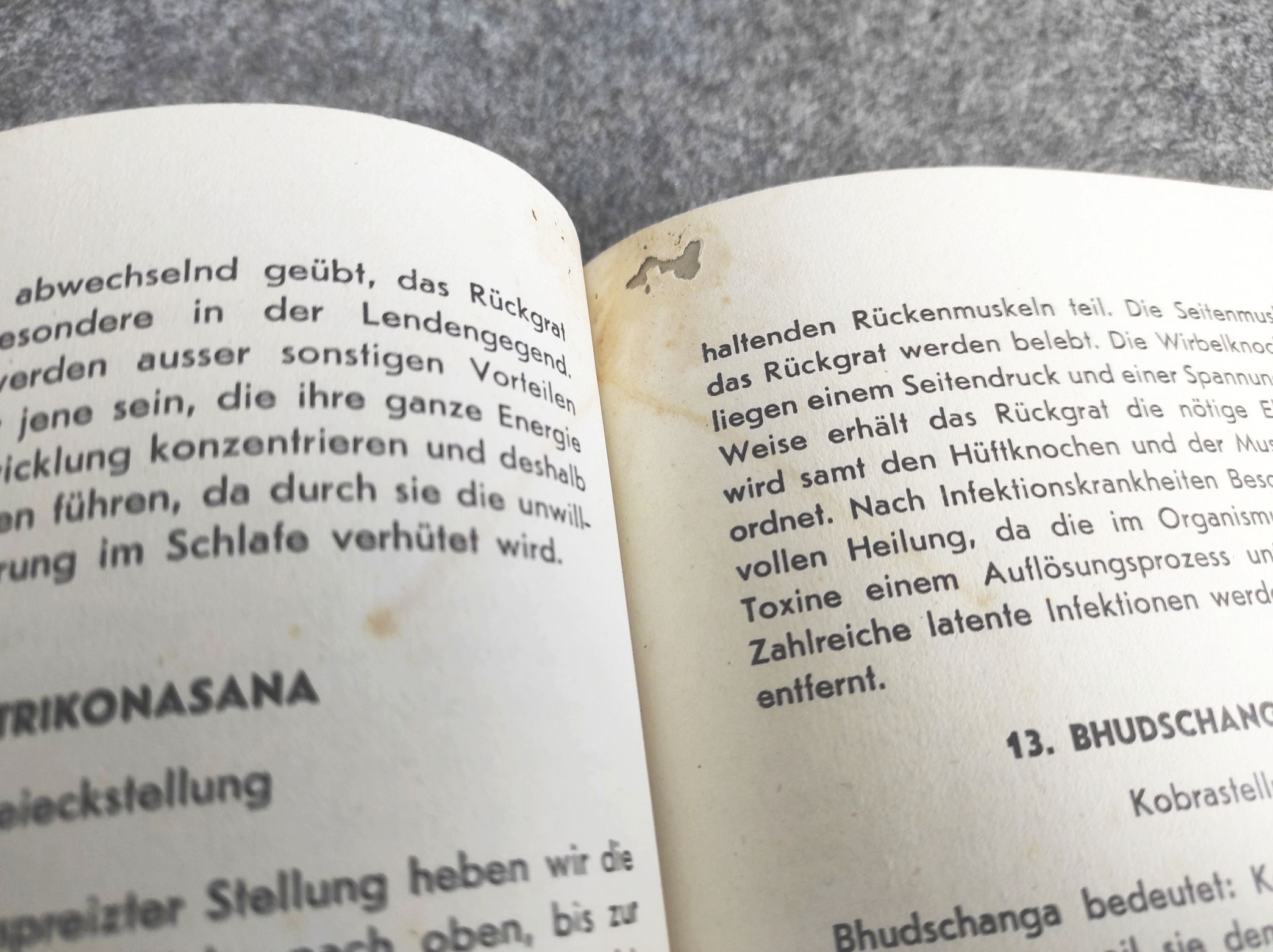 Selva Raja Yesudian Elisabeth Haich Sport Yoga 1957 Selva Raja Yesudian Elisabeth Haich Sport Yoga 1957