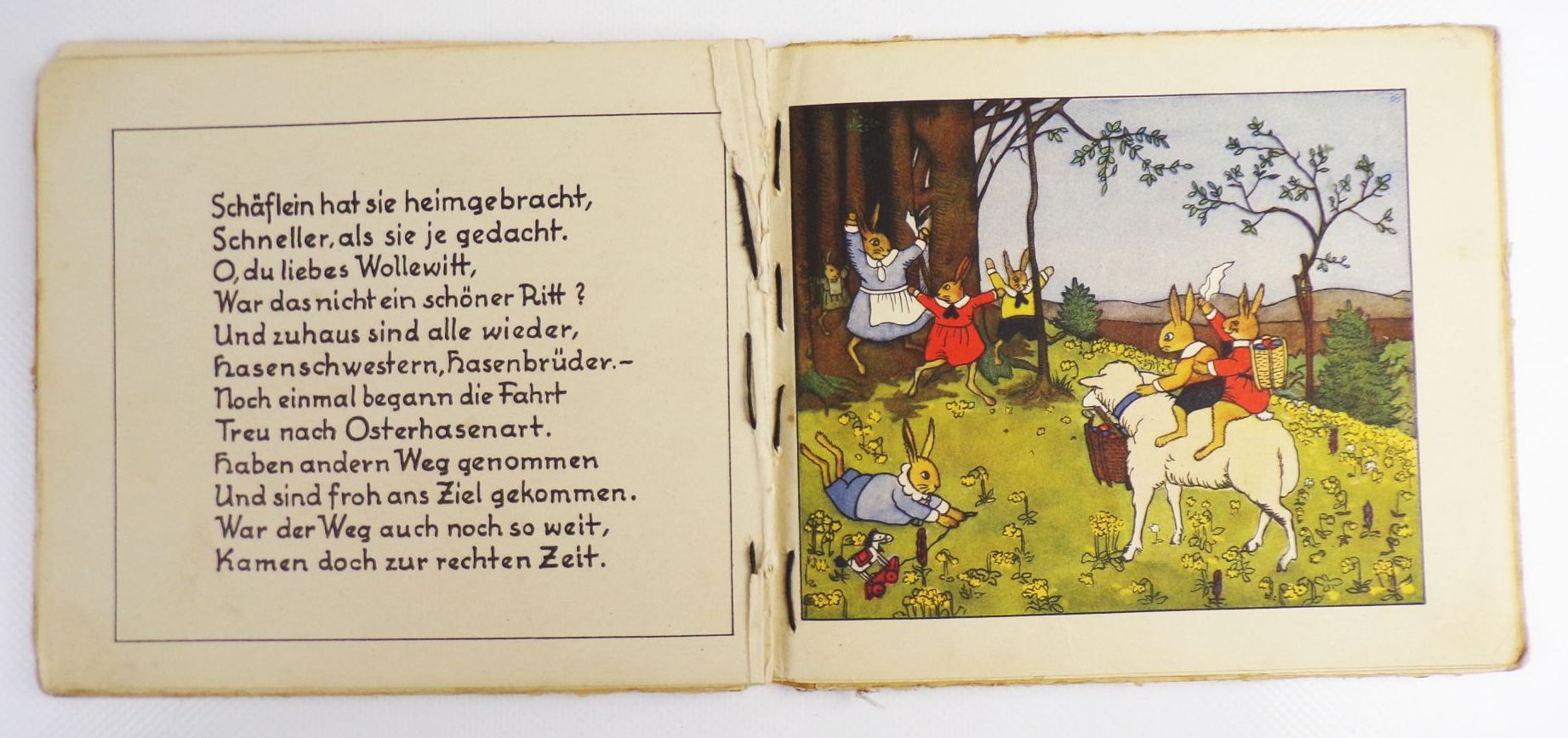 Eine lustige Hasengeschichte Bilder von Hildegard Bantzer Verse von Reinhold Braun