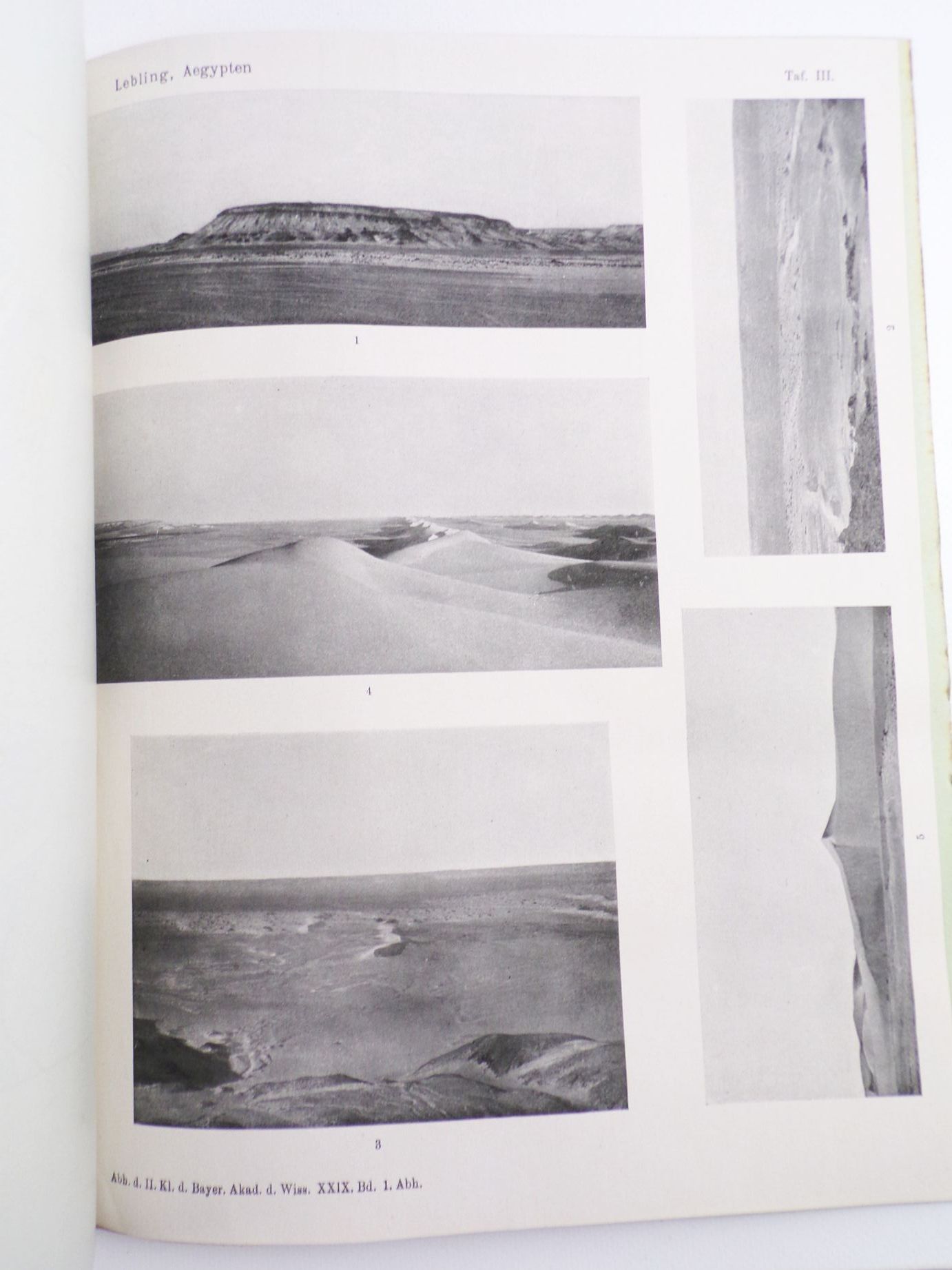 Ergebnisse der Forschungsreisen Prof E Stromers in den Wüsten Ägyptens 1919