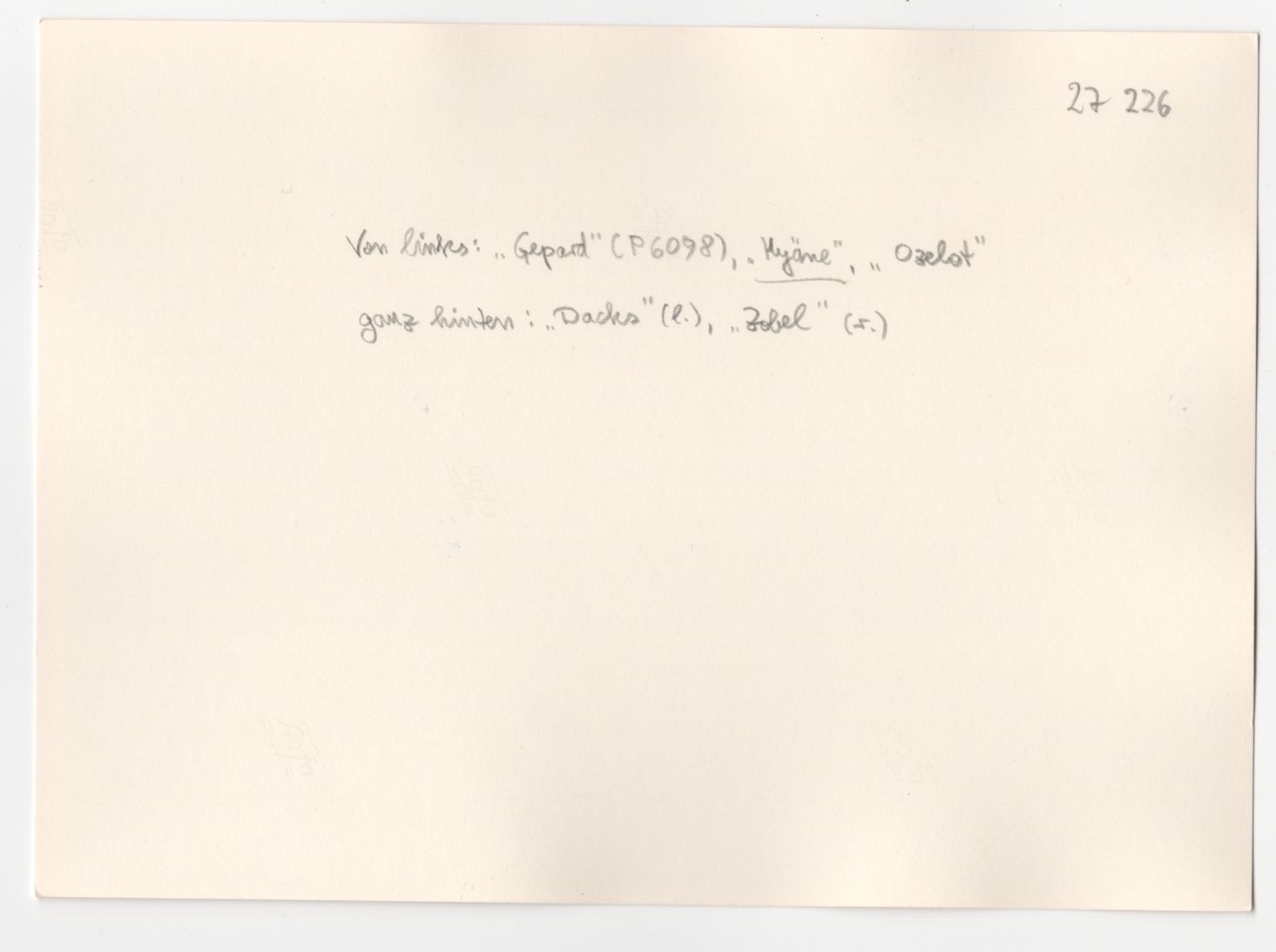 Foto Gepard P6078 Hyäne Ozelot Dachs Zobel Bundesmarine Schiffe