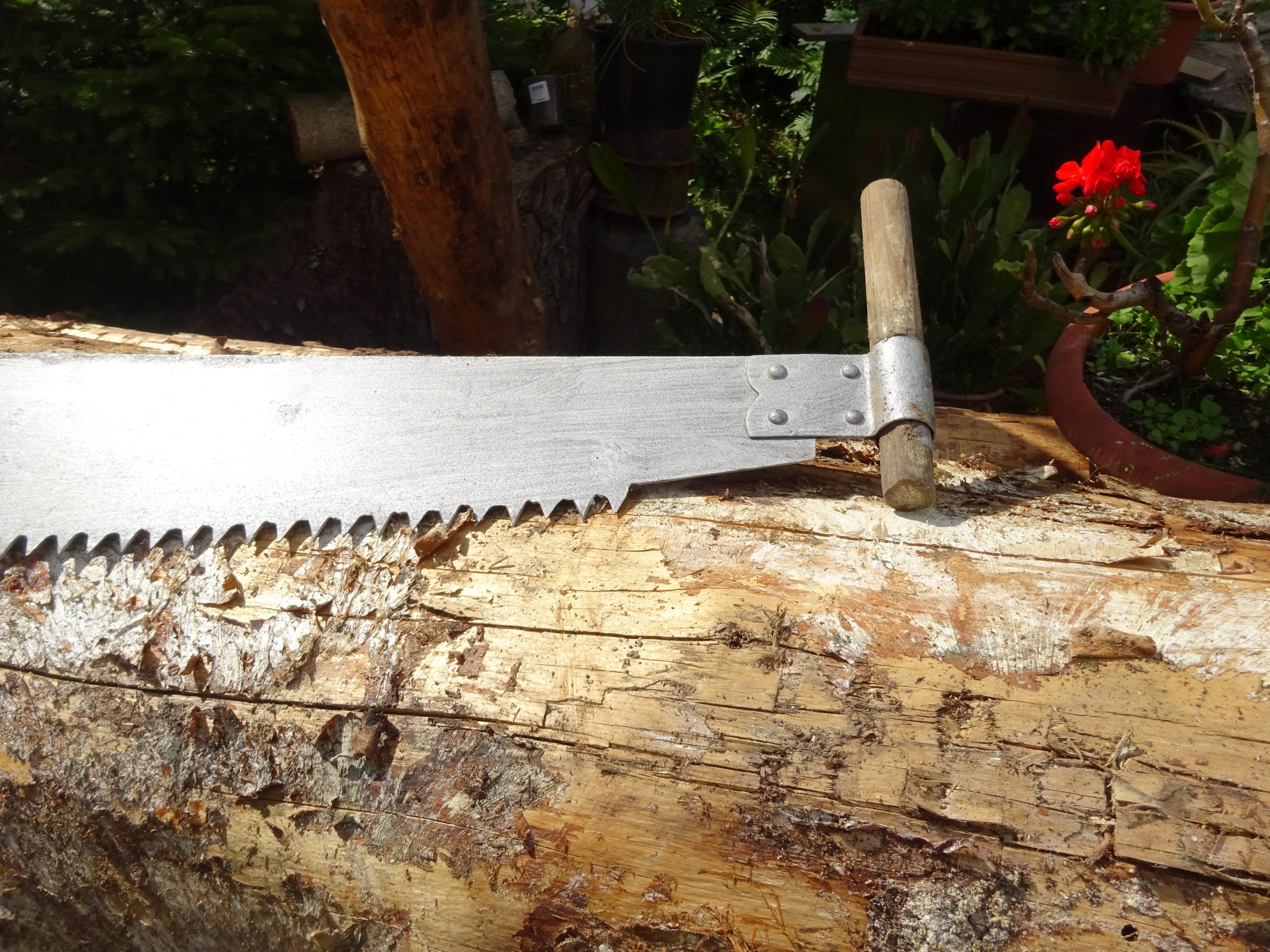 Alte Schrotsäge Hochzeitssäge 129 cm Zweimannsäge Deko Hochzeit Alte Schrotsäge Hochzeitssäge 129 cm Zweimannsäge Deko Hochzeit