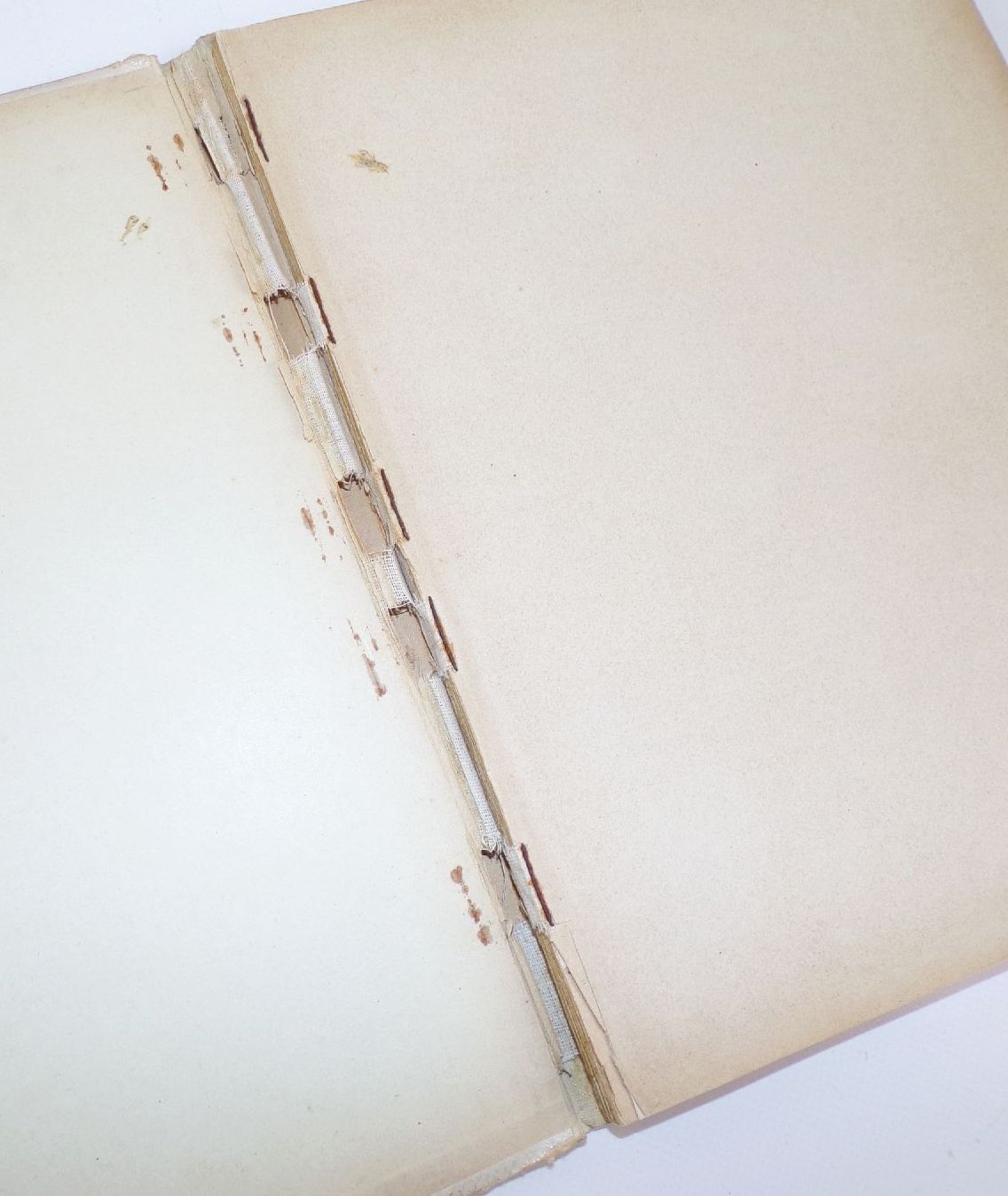 Aus des Lebens Mai Steinkamp und Voigt um 1900 Kinderbuch