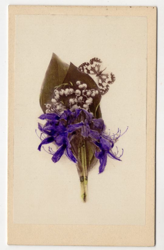 Fotografie CDV Foto Maiglöckchen mit Schmetterling Botanik Pflanze um 1880 koloriert 