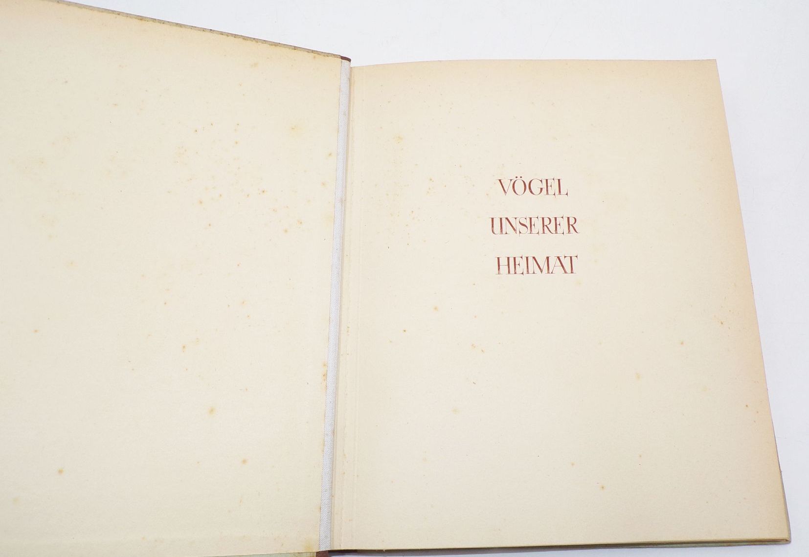 DDR Sammelbilderalbum Vögel unserer Heimat 1956 vollständig DDR Sammelbilderalbum Vögel unserer Heimat 1956 vollständig