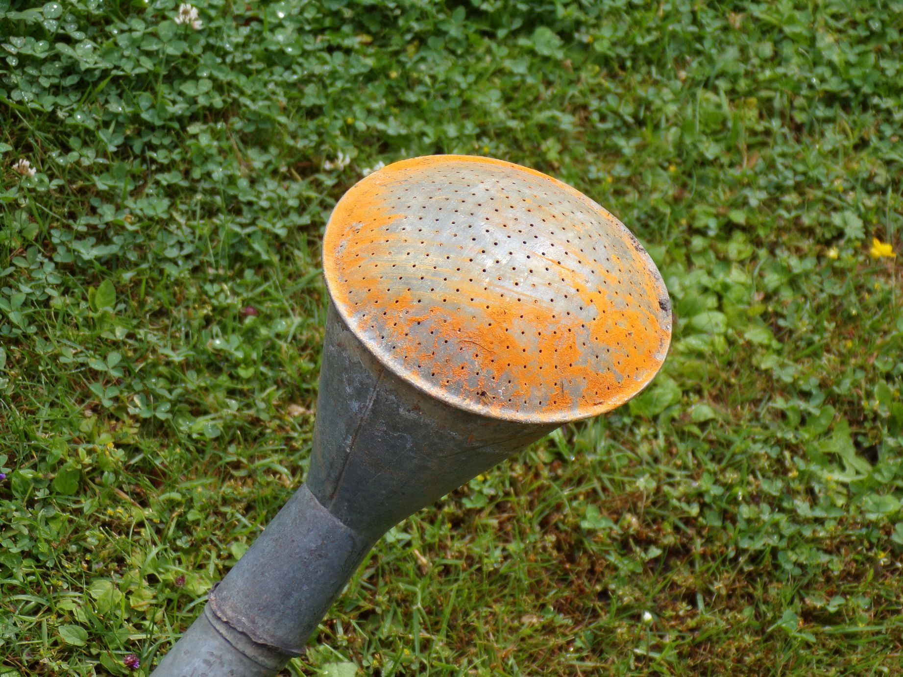 Alte Zinkgießkanne Bat Gießkanne 10 Liter Garten Gartendeko 