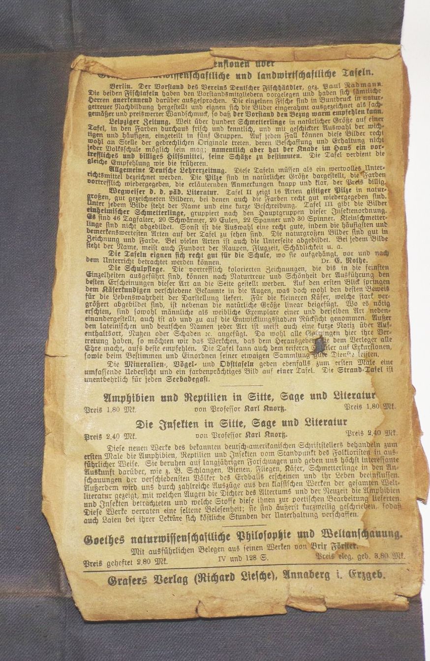 Alte Pferde Karte Pferderassen Litho Bräuer Veterinär Graser Verlag Lehrmittel Wandtafel