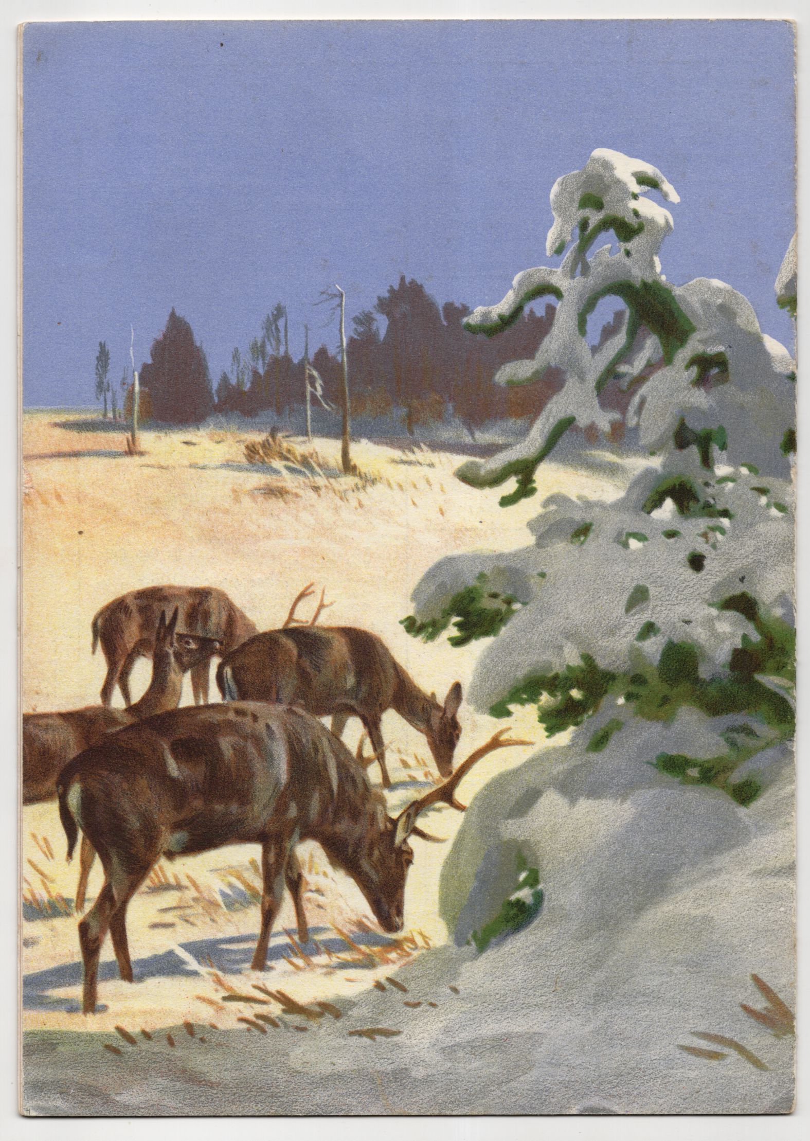 Old Tierpark Zeitung Hellbrunn München Franz Jung Ilsenheim November 1936 Old Tierpark Zeitung Hellbrunn München Franz Jung Ilsenheim November 1936