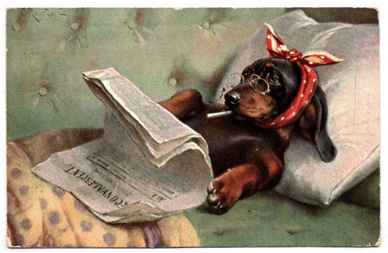 Ak vermenschlichter Dackel ist krank und liest Zeitung 1907