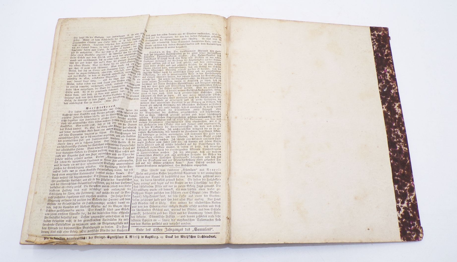 Der Sammler Zeitschrift gebundener Jahrgang 1874 Antik Buch