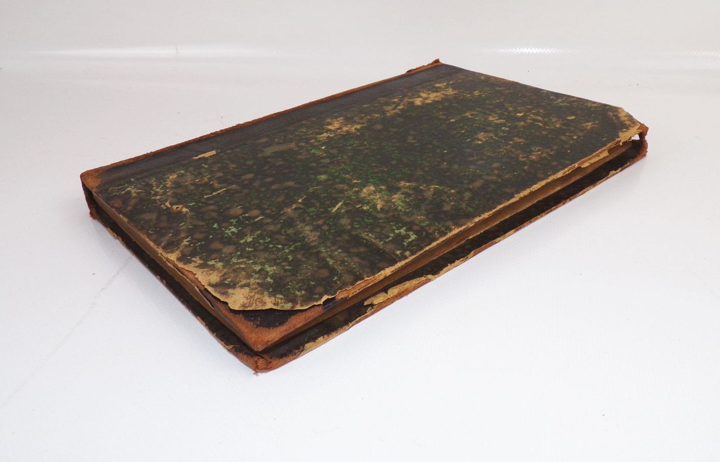 Die Kunst der Pflanzenvermehrung Hartwig 1886 Biologie Buch 