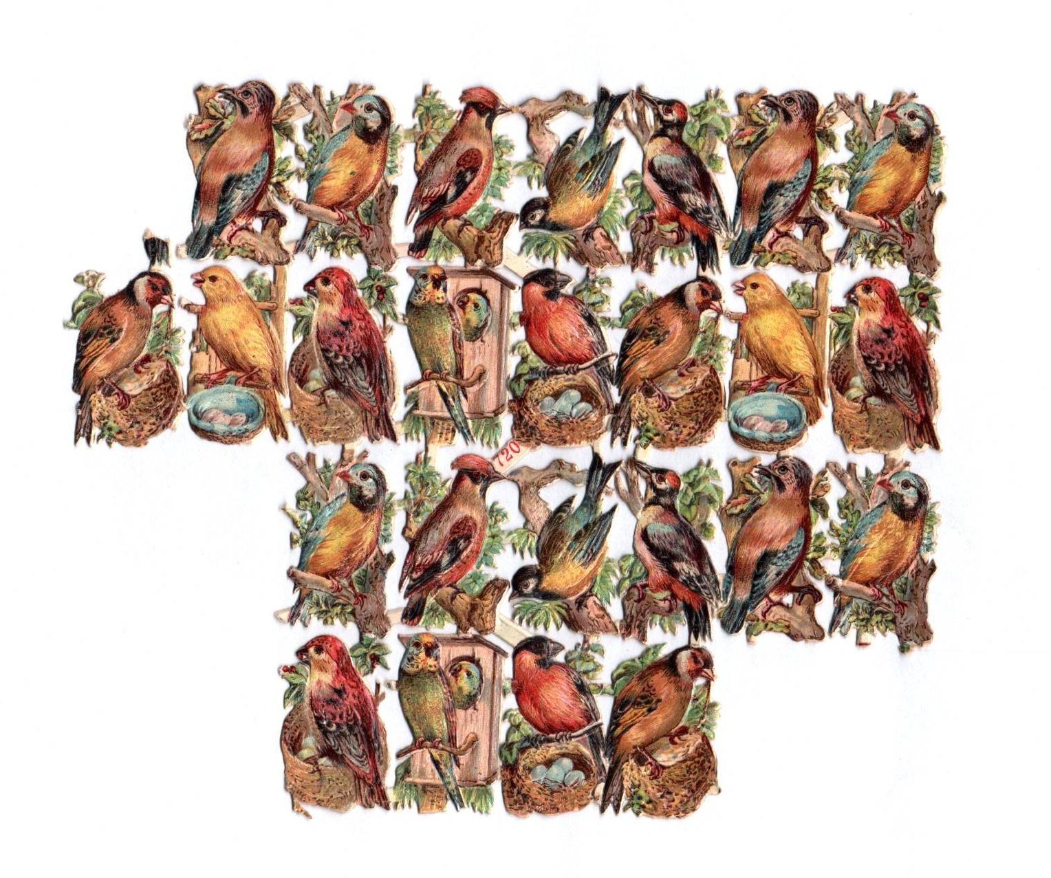 Alte Oblaten Bogenteile Vögel stark geprägt No 720 