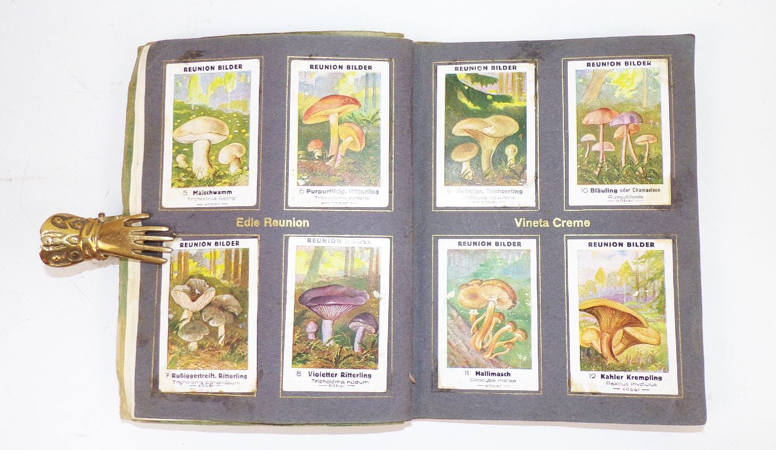 Einheimische Pilze Reunion Sammelbilderalbum Obercunnersdorf 