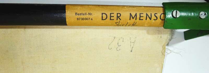 Vintage Rollkarte Der Mensch Skelett Lehrkarte Wandtafel Schulkarte deko 