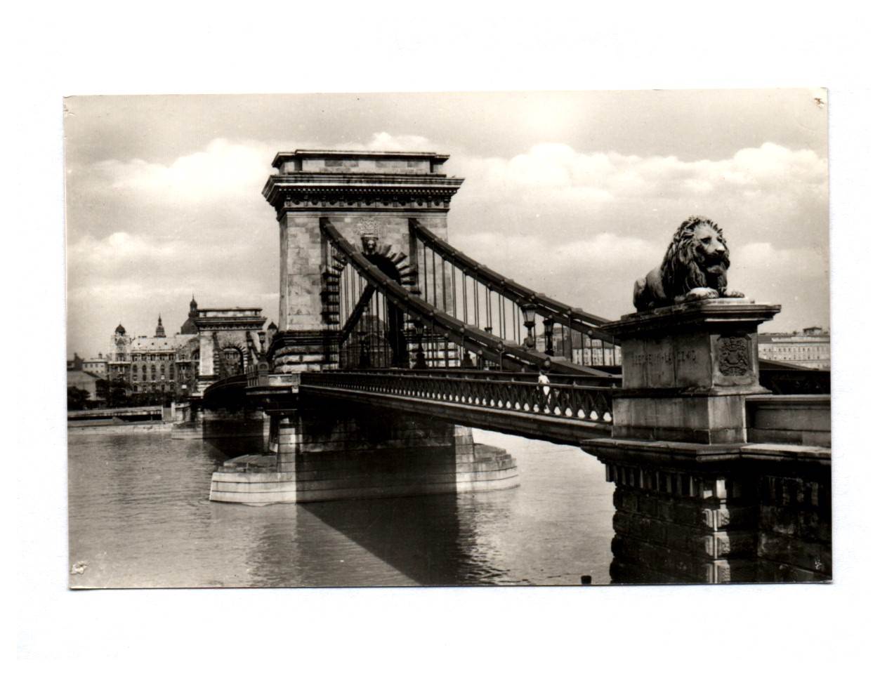 Foto Ak Budapest Lanchid Brücke Löwe Kettenbrücke Foto Ak Budapest Lanchid Brücke Löwe Kettenbrücke