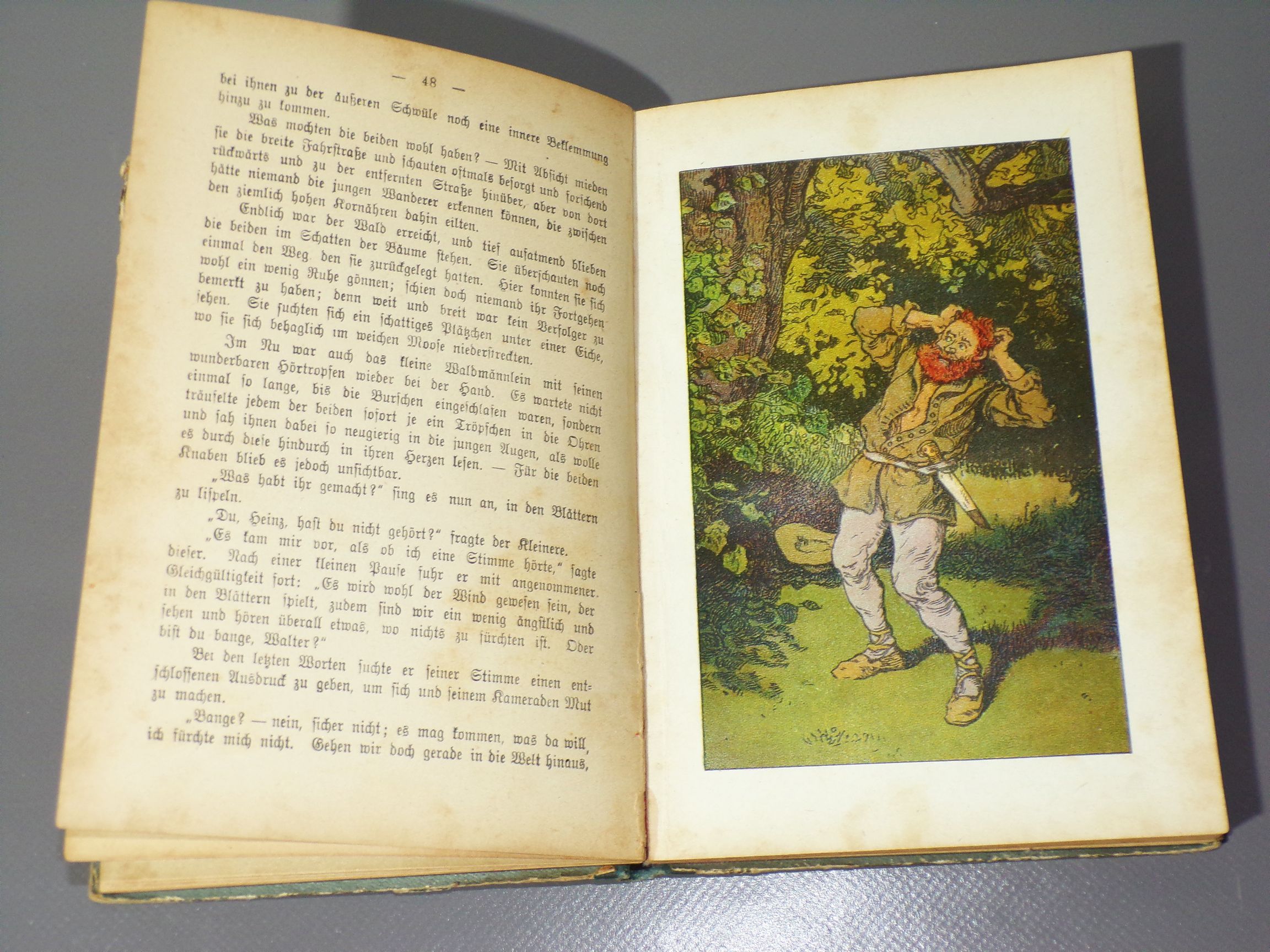 Was der Wald erzählt Märchen Gustav Heick und Frida von Kronoff Hohneck 1910er 