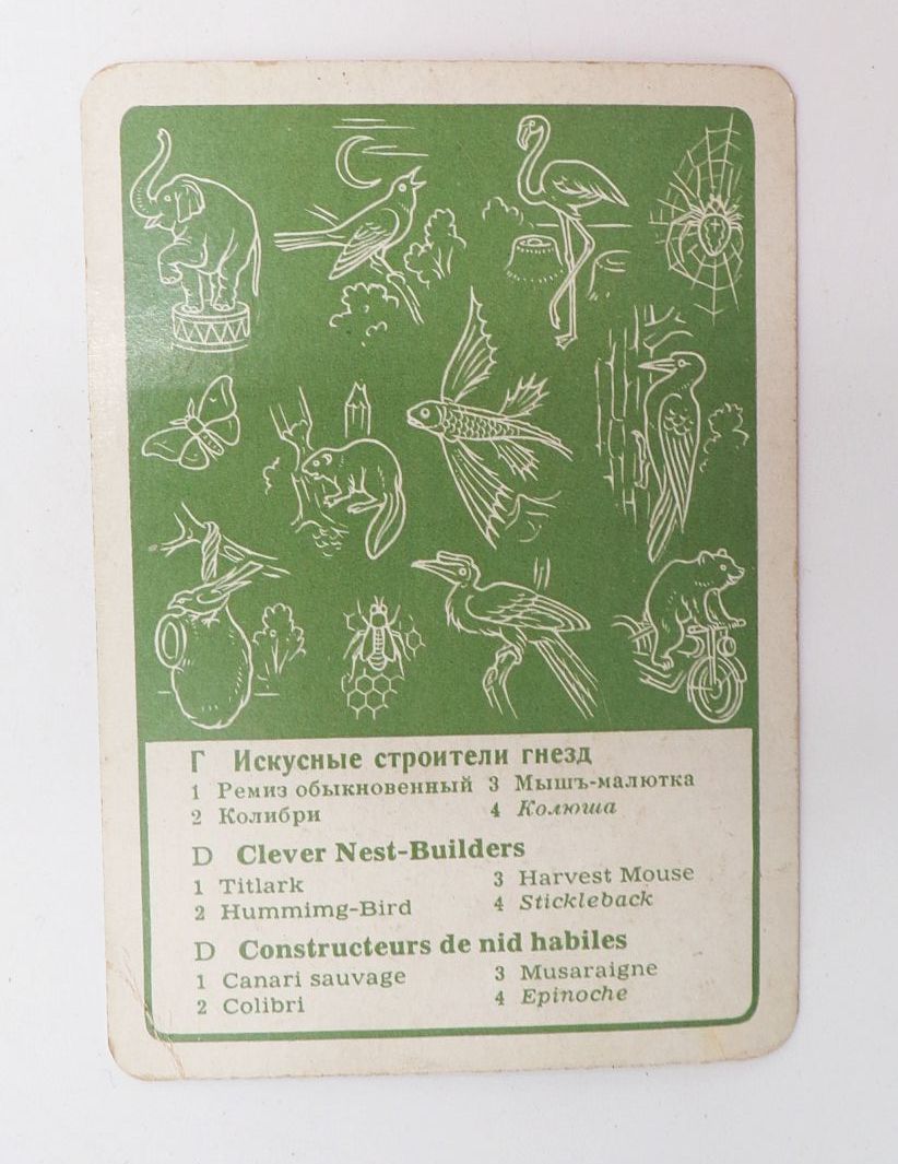 Altes Kartenspiel Künstler der Tierwelt Ein Lehrspiel Forkel Pößneck 1960 Altes Kartenspiel Künstler der Tierwelt Ein Lehrspiel Forkel Pößneck 1960