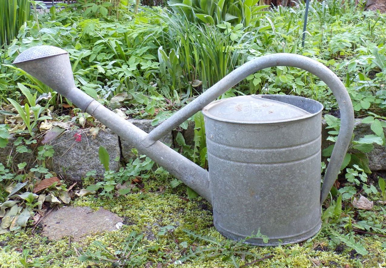 Alte Zinkgießkanne Bat Gießkanne 10 Liter mit Tülle Garten Gartendeko 