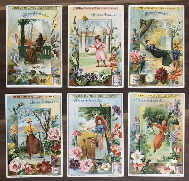 Liebig Serie Nr 484 Blumen Jahreslauf 6 Stück Sammelbilder