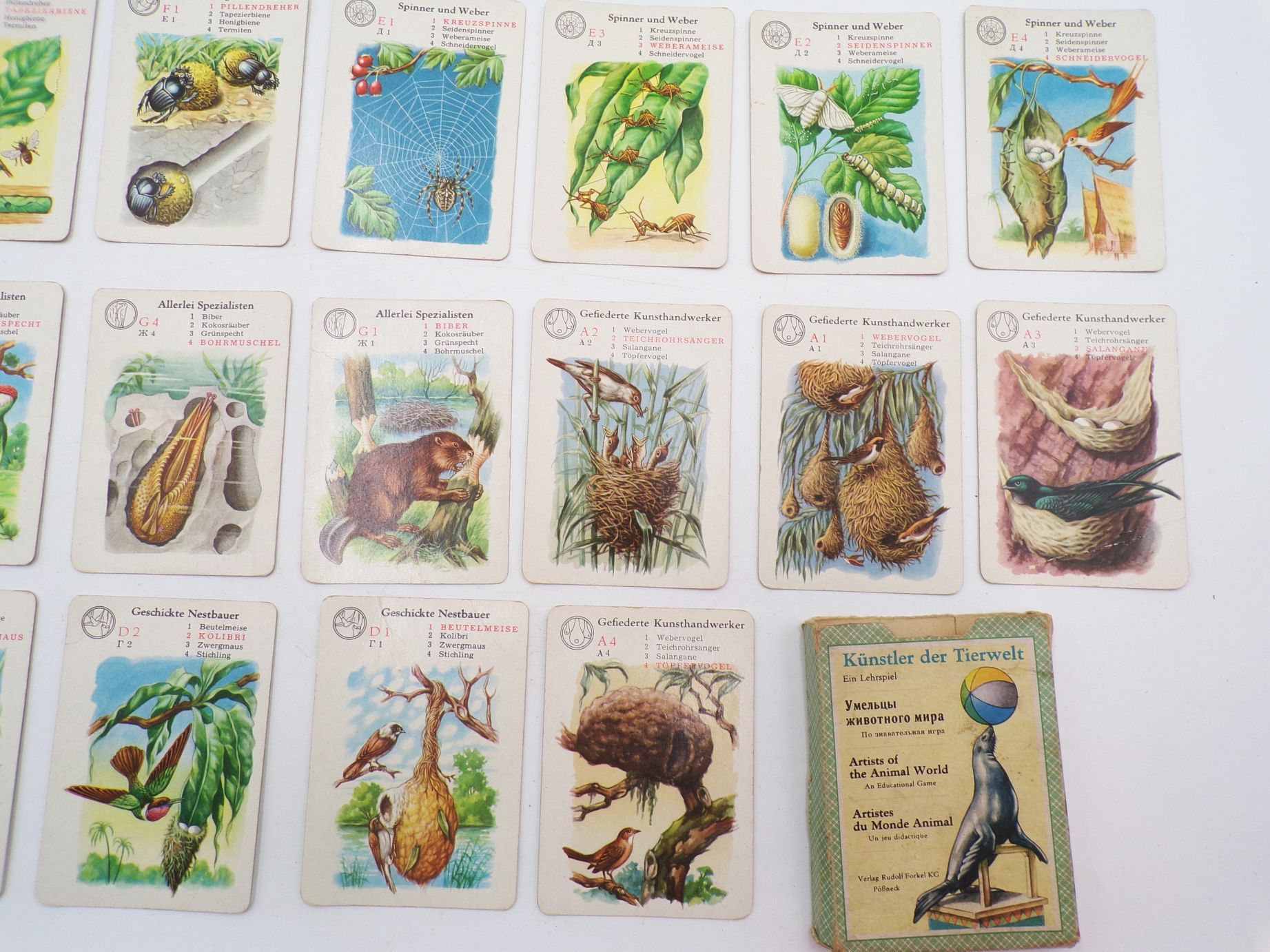 Altes Kartenspiel Künstler der Tierwelt Ein Lehrspiel Forkel Pößneck 1960 Altes Kartenspiel Künstler der Tierwelt Ein Lehrspiel Forkel Pößneck 1960