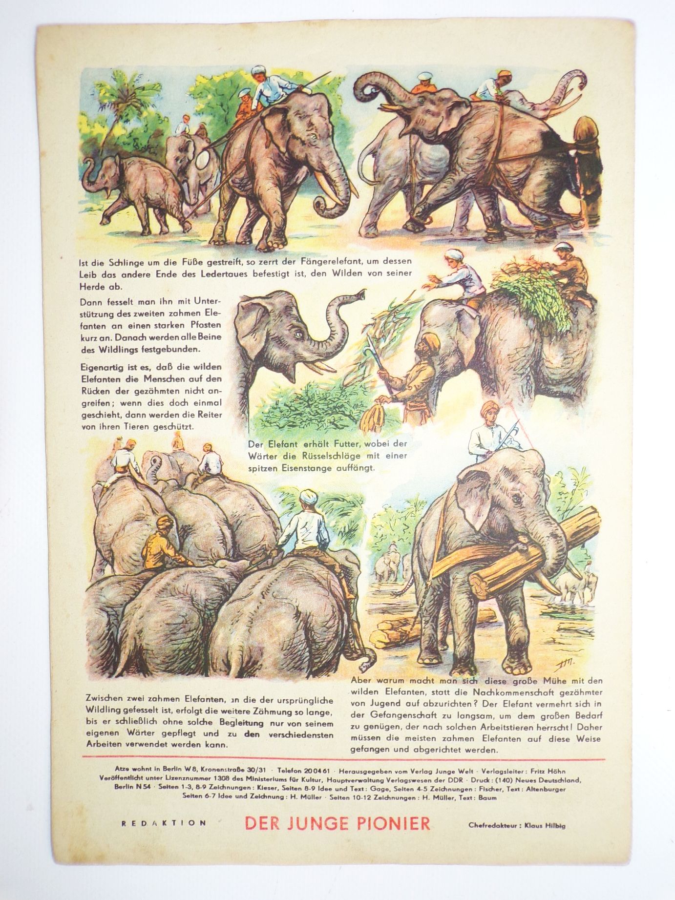 Atze Pionier Kinderzeitung 7 von 1957 Atzeline unter den Räubern Atze Pionier Kinderzeitung 7 von 1957 Atzeline unter den Räubern