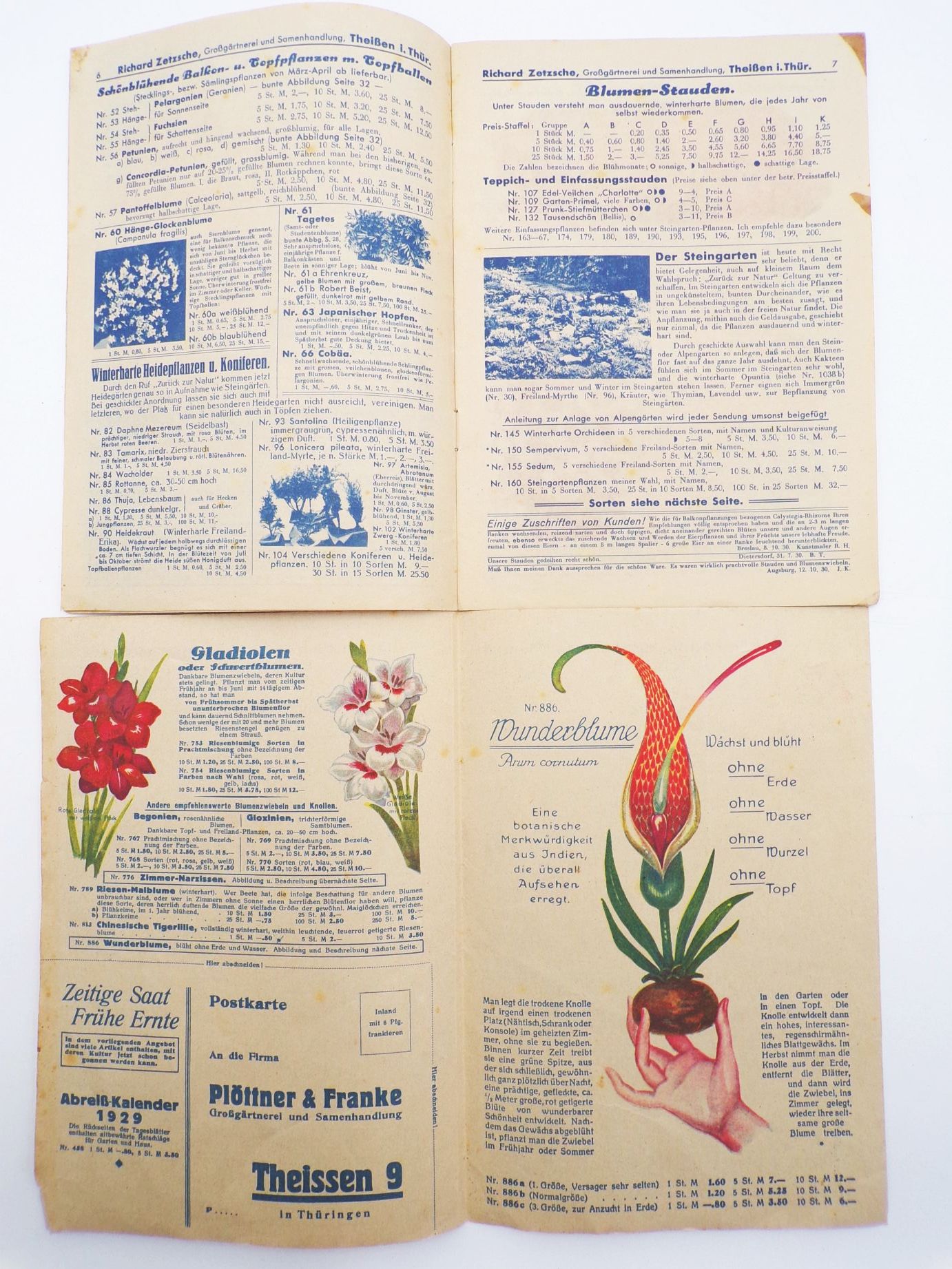 Katalog Richard Zetzsche Theissen Thüringen Saatgut Zeppelin 1929 bis 1931 Katalog Richard Zetzsche Theissen Thüringen Saatgut Zeppelin 1929 bis 1931
