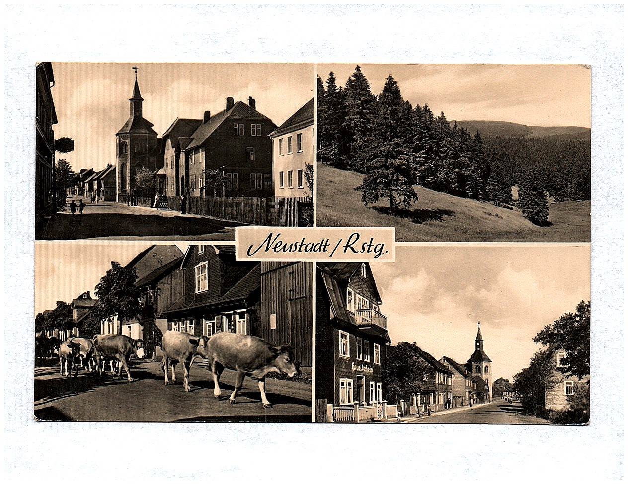 Ak Neustadt Rennsteig Wald Kirche Kühe Ak Neustadt Rennsteig Wald Kirche Kühe