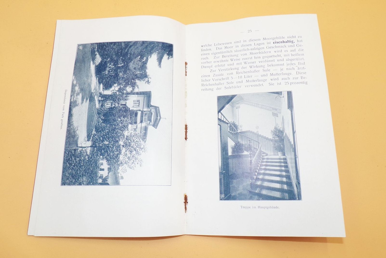 Kurhotel Ludwigsbad in Bad Aibling Oberbayern 1915 Kurhotel Ludwigsbad in Bad Aibling Oberbayern 1915