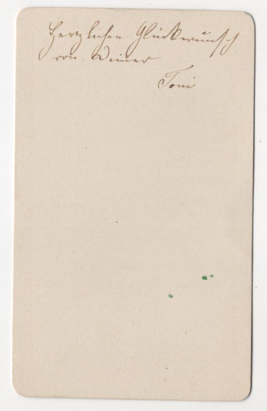 CdV Foto Krokusse Narzissen Hyazinthen um 1880 kolorierte Fotografie CdV Foto Krokusse Narzissen Hyazinthen um 1880 kolorierte Fotografie