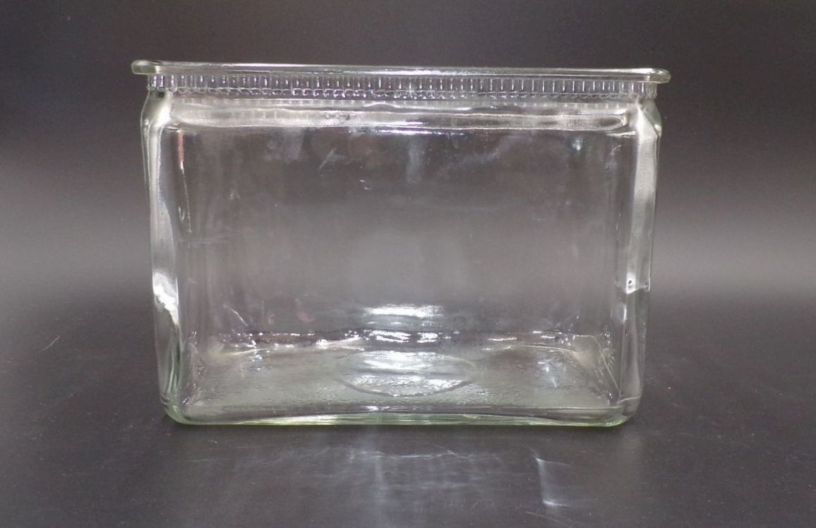 Altes Glas Rechteck Behälter Pflanzgefäß Batterieglas Antik Paludarium