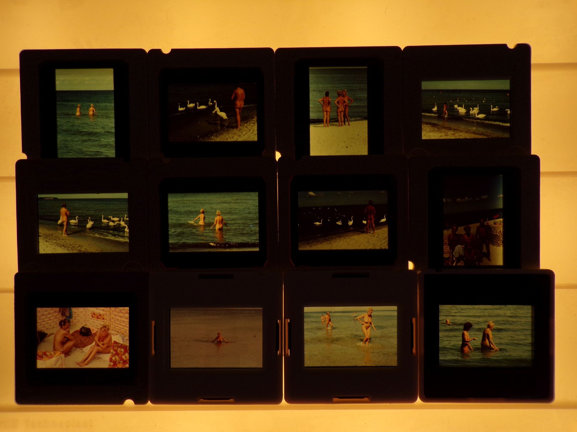 Dia Konvolut DDR Urlaub Ostsee Nackte Frauen Männer 