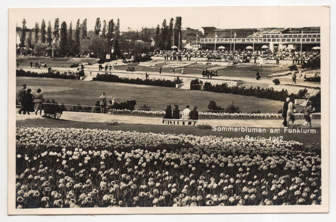 Foto Ak Sommerblumen am Funkturm Berlin 1942