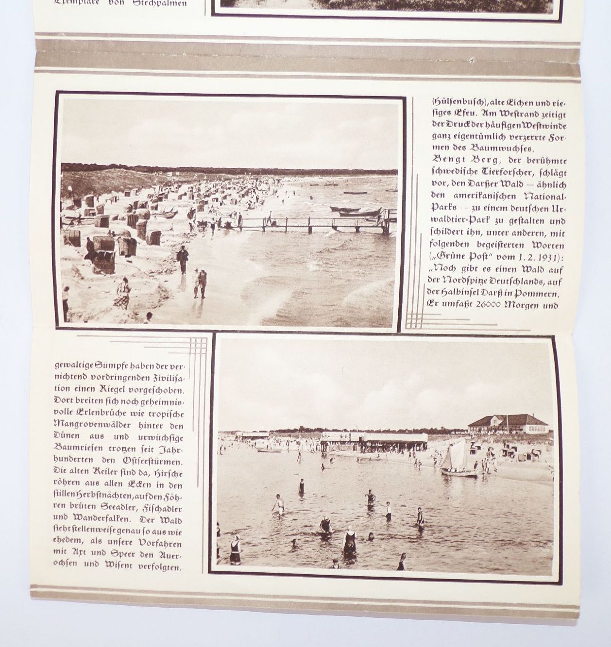 Reise Prospekt Ostseebad Prerow Führer um 1930