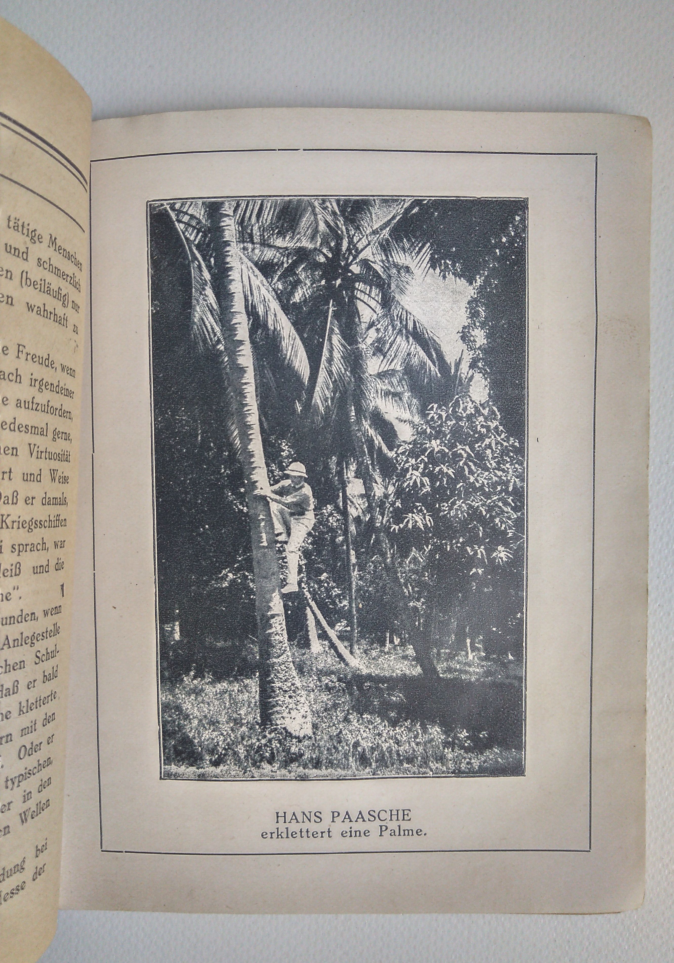Paasche Buch von O Wanderer 1922 alte Broschüre Paasche Buch von O Wanderer 1922 alte Broschüre