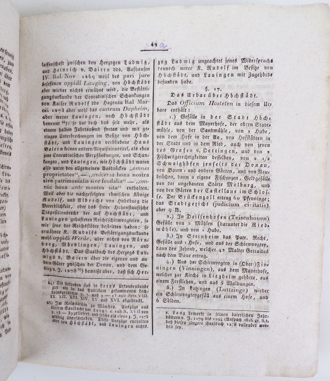 Urkundliche Geschichte der Stadt Lauingen an der Donau Raiser 1822 