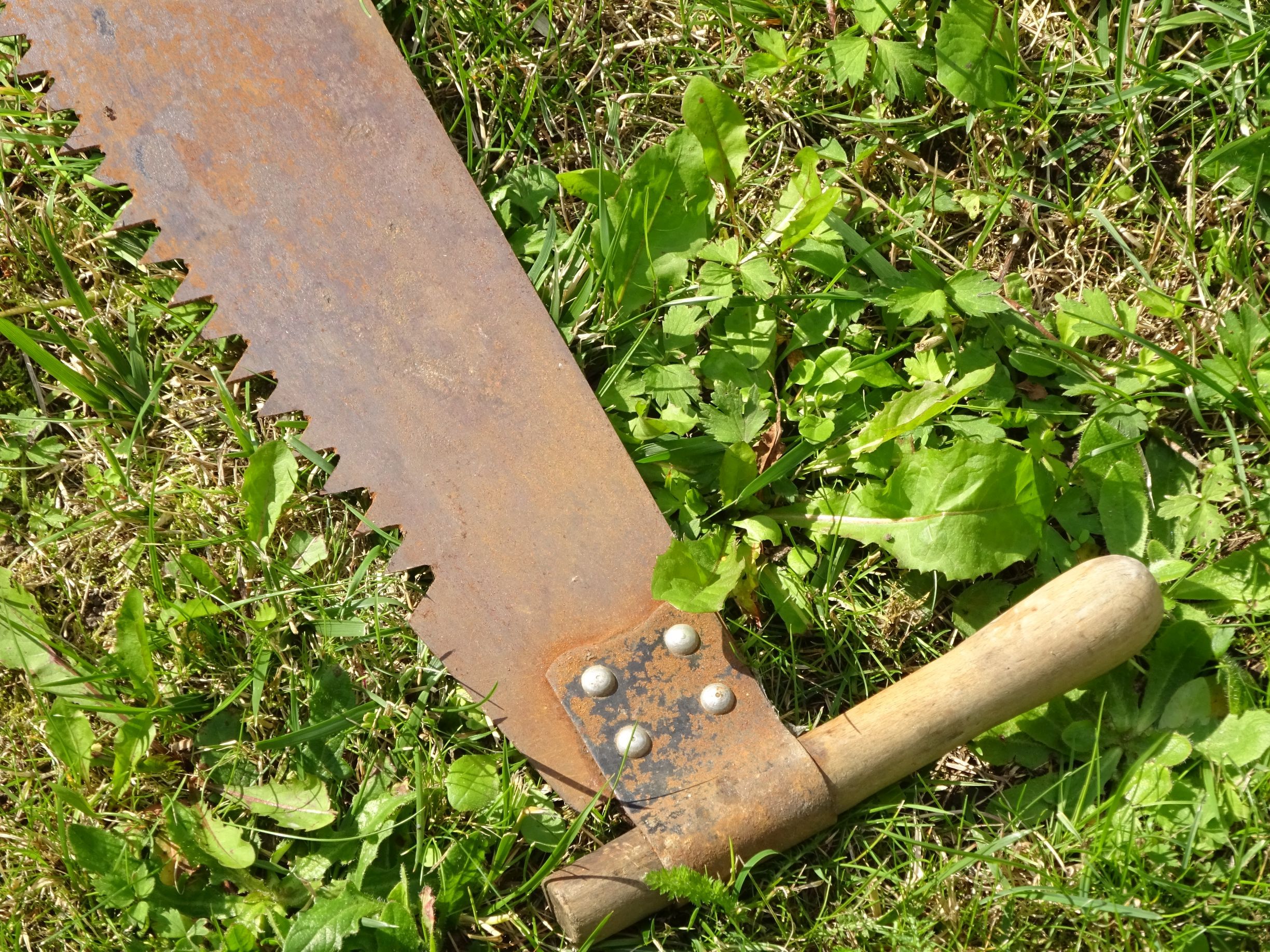 Alte Säge Hochzeit Zweimannsäge 106 cm Holzsäge Schrotsäge Alte Säge Hochzeit Zweimannsäge 106 cm Holzsäge Schrotsäge