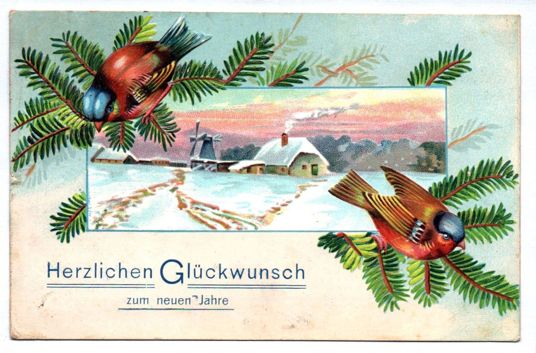 Künstler Ak Herzlichen Glückwunsch zum zum neuen Jahre 1910 Vögel Haus geprägt Künstler Ak Herzlichen Glückwunsch zum zum neuen Jahre 1910 Vögel Haus geprägt