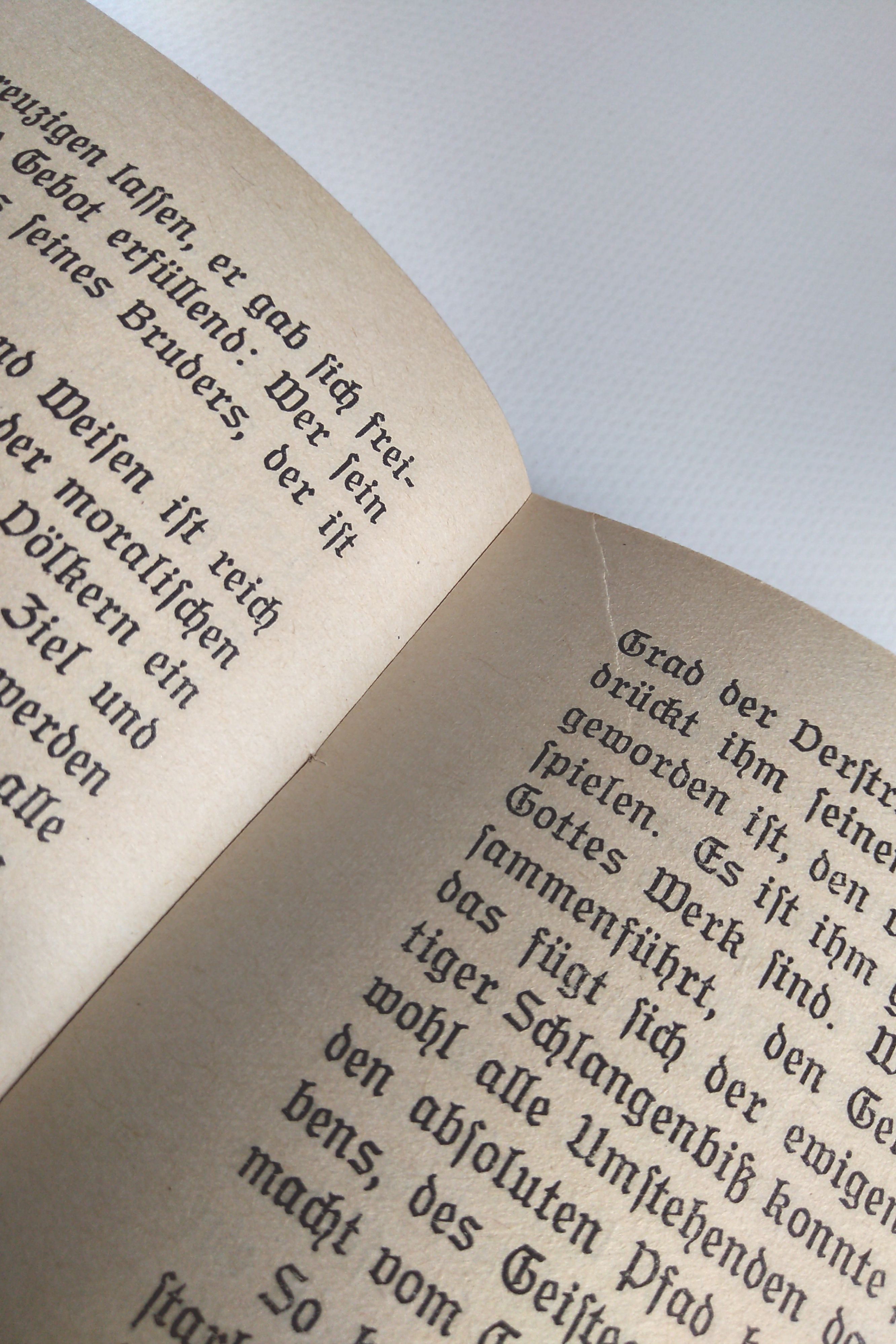 Blütenschnee Meditationen vom Tode bis zur Unsterblichkeit Broschüre Blütenschnee Meditationen vom Tode bis zur Unsterblichkeit Broschüre