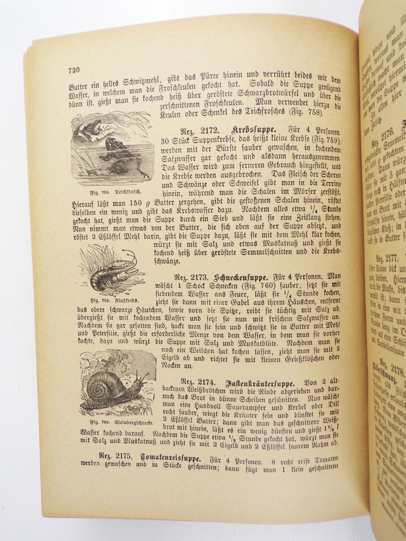 Großes illustriertes Kochbuch Mathilde Ehrhardt 1908 Prachtausgabe Großes illustriertes Kochbuch Mathilde Ehrhardt 1908 Prachtausgabe