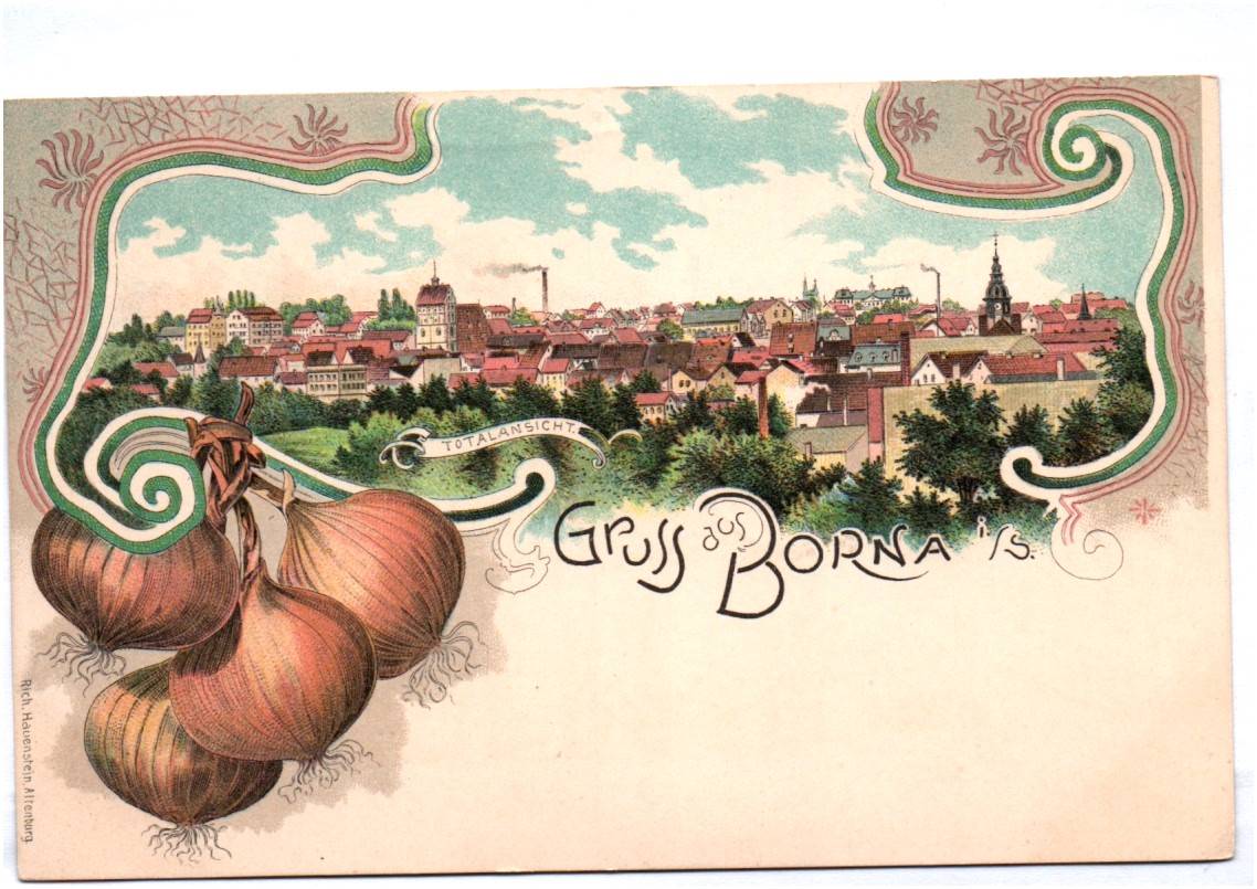 Litho Ak Gruss aus Borna bei Leipzig um 1900 Zwiebeln Litho Ak Gruss aus Borna bei Leipzig um 1900 Zwiebeln