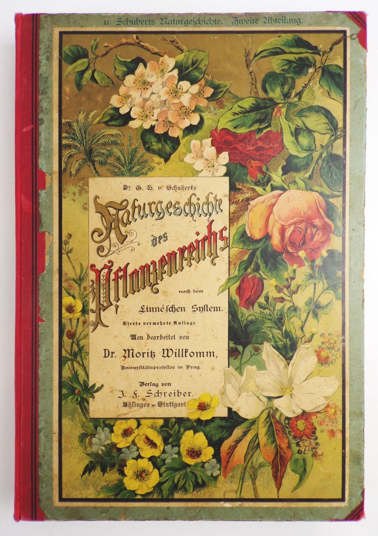 Schuberts Naturgeschichte des Pflanzenreichs Linneschen System 1887