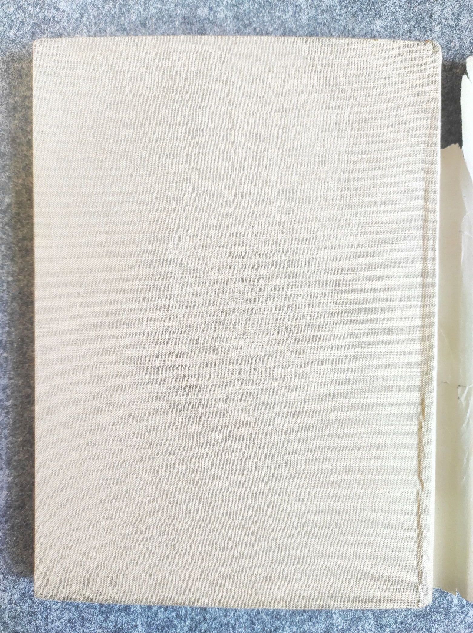 Photo in Wort und Bild 1938 Lehrbuch von Wolf H Döring