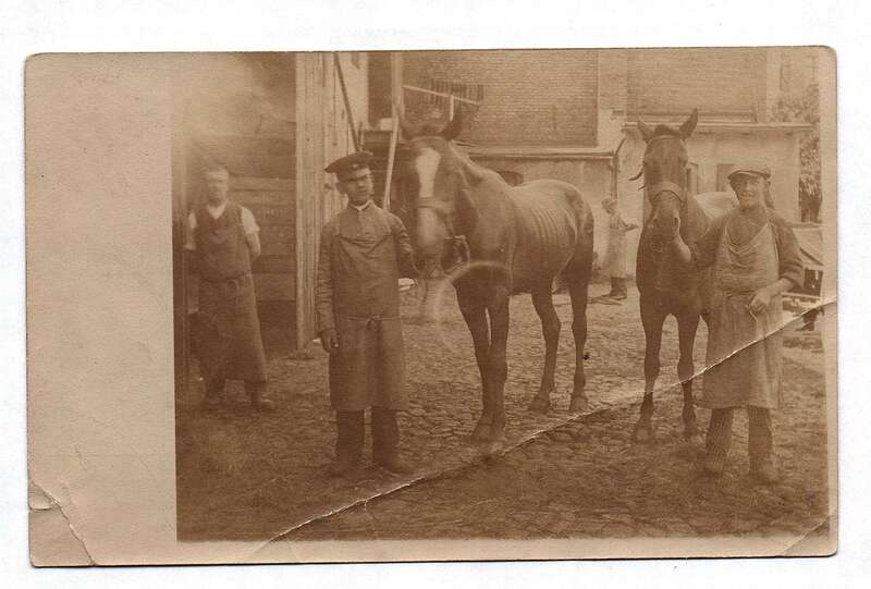 Altes Bild Foto Ansichtskarte Männer Arbeiter mit Pferden