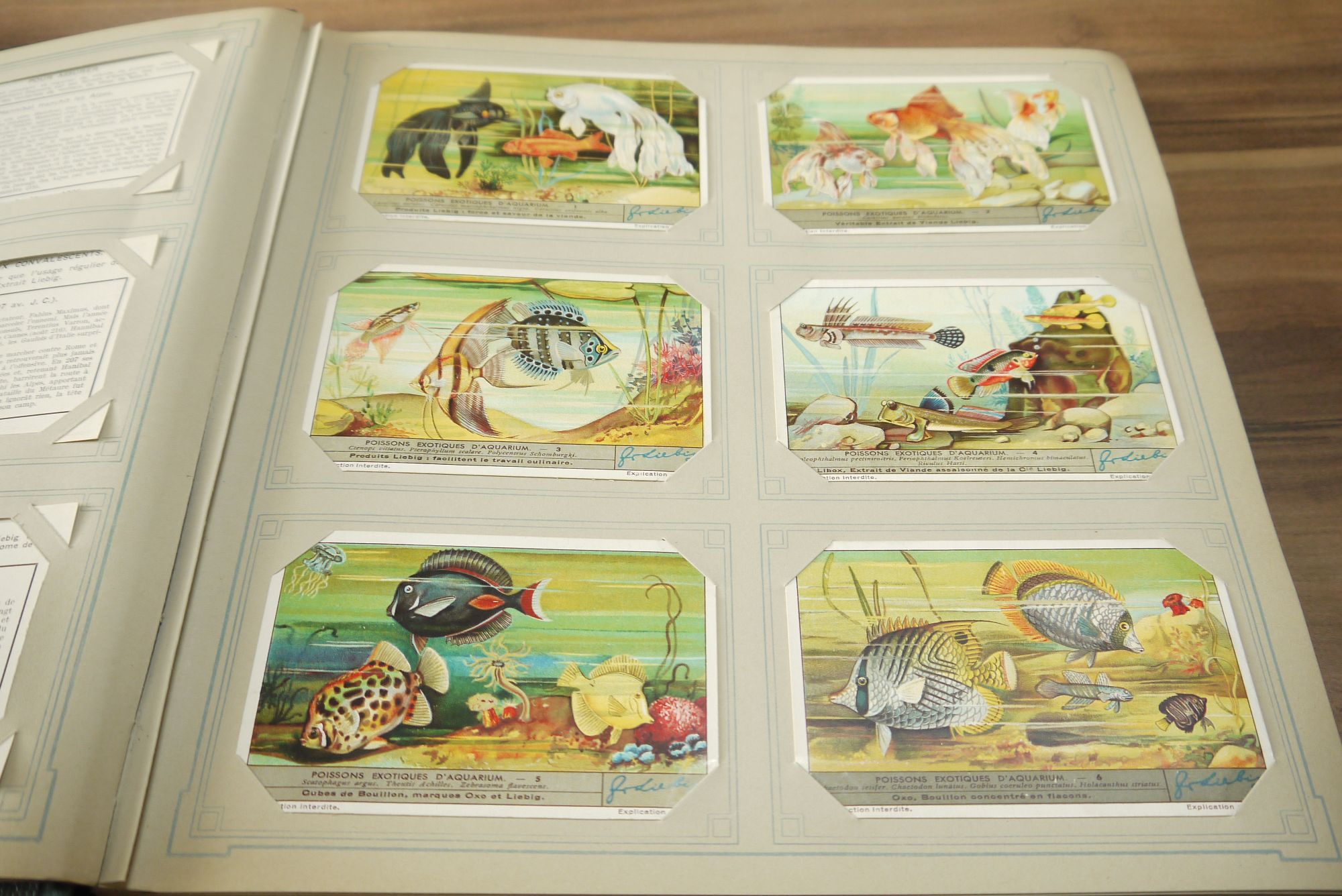 Chromo Album ca 50 Seiten 300 Karten Liebig Sammelbilder