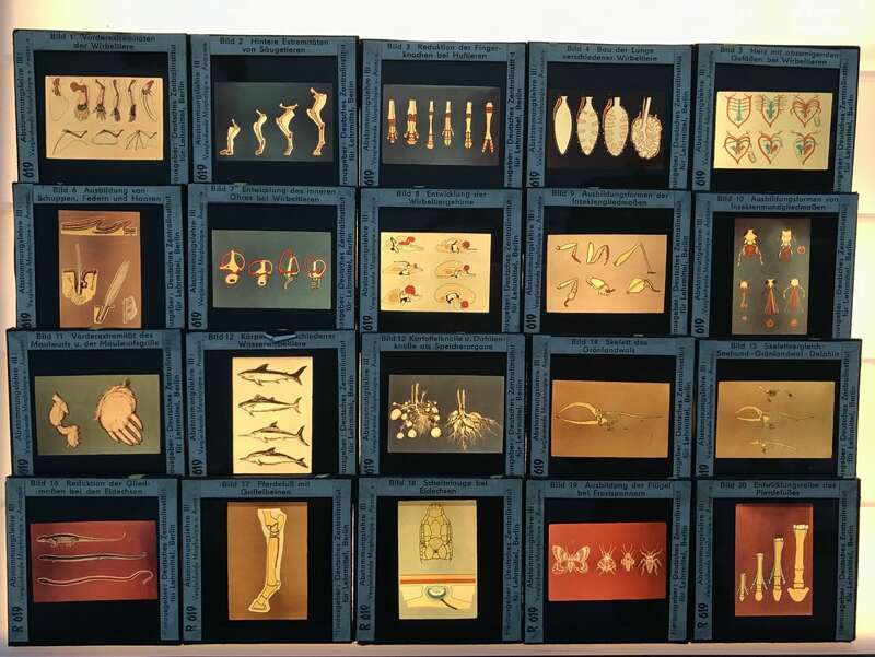 Foto Lehrmaterial Glasdias Länder Lehrmittel Sowjetunion DDR Deutschland Dias